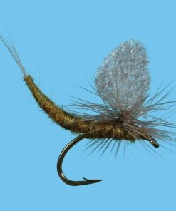 Flies Solitude Blue Wing Olive – Ext Body (D070ex) 6-Pack