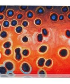 Deyoung Iphone 4/4s Case - Vibe Accessories