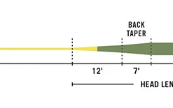 Rio Gold Fly Line - Closeout