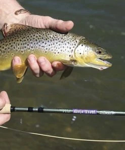 Rods St Croix Mojo Trout Fly Rod 9 Rods St Croix Mojo Trout Fly Rod