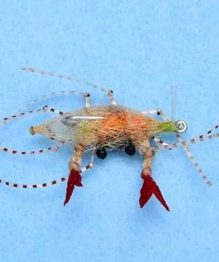 Enrico Puglisi Ep Soft Shell Egg #1 (3-Pack)