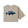 Patagonia Men'S Fitz Roy Smallmouth Organic Tee - Closeout Clothing