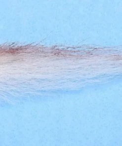 Enrico Puglisi Roosterfish Sardina (3-Pack)