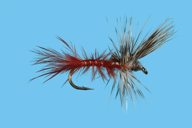 Flies Solitude Callibaetis - Cripple (D115c) 6-Pack 3 Flies Solitude Callibaetis - Cripple (D115c) 6-Pack