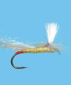 Solitude Parachute Yellow Sallie (Pd540) 6-Pack