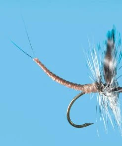 Solitude Callibaetis - Ext Dun (D115d) 6-Pack