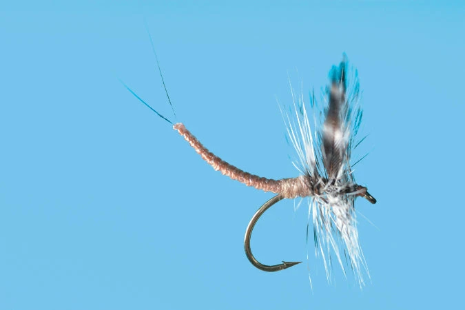 Solitude Callibaetis - Ext Dun (D115d) 6-Pack 3 Solitude Callibaetis - Ext Dun (D115d) 6-Pack