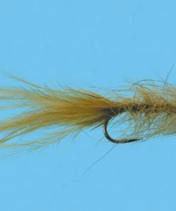 Solitude Hale Bopp Leech (Df200) 6-Pack