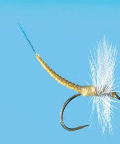 Solitude Pale Morning Dun - Ext Dun (D380d) 6-Pack