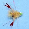 Enrico Puglisi Sand Crab (3-Pack)