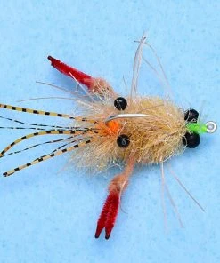 Enrico Puglisi Tarantula Crab Mottled (3-Pack)