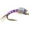 Catch Fly Fishing Catch Tb Rainbow Warrior Purple 6-Pack