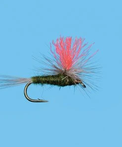 Solitude Hi-Vis Bwo (Pd066) 6-Pack