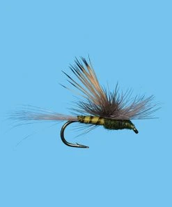 Solitude Tiltwing - Bwo (D387ol) 6-Pack