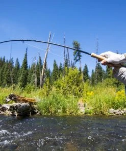 Thomas And Thomas Rods Thomas & Thomas Avantt Fly Rod